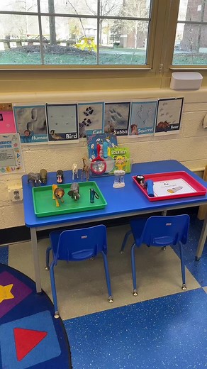 Preschool Vibes on Instagram: "Here’s how we’re exploring light and shadows at our preschool science center this week! On the first tray, students “fix” a flashlight by placing the battery correctly and screwing on the lid—no help from me, so it really builds problem-solving. On the second tray, we have Safari animals and a flashlight; they can shine it from different angles to see how the shadows change. It’s a fun, hands-on way to learn!"