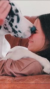 7.1K views · 106 reactions | ❤️ When your dog pushes or rubs his...