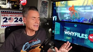 The Seventh Experiment: Lacerta Reveals the Truth of our Creation