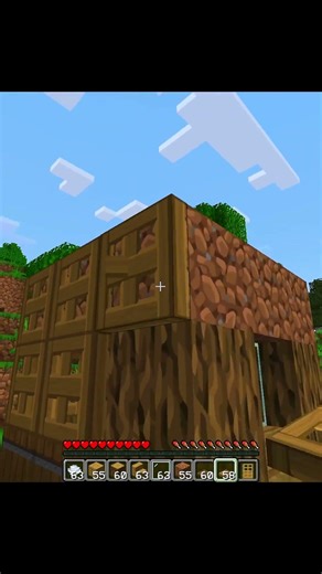 When I Make Small House(World's Smallest Violin) #minecraft #shorts