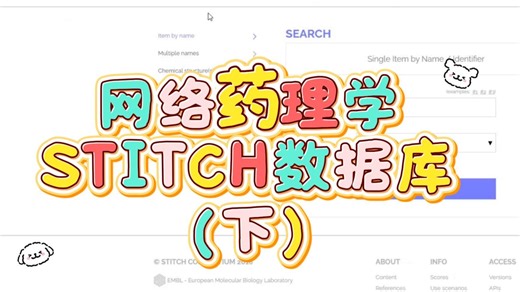 网络药理学|STITCH数据库——使用实战演练