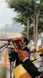PA todo el año #JoseAlfredoJimenez #ElNietoDelRey #Puebla Mariachi Los Charros Poblanos | Luis Alfredo Jiménez