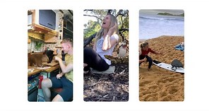 Google celebrates summer down under with new Australian 3D animals: kangaroo, echidna, more