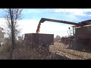 Corn Harvesting - Case IH 1688 Axial-Flow Combine - Saline - Michigan - Harvest 2015 #harvestchaser