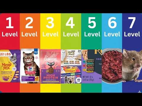 The 7 Levels Of Cat Food Explained