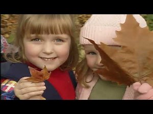 Teletubbies: Playing with Leaves