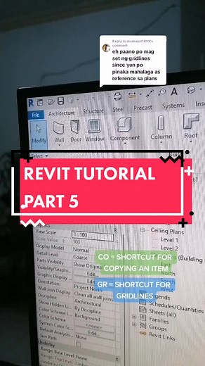 REVI TUTORIAL PART 5: Paggawa ng Grid Lines