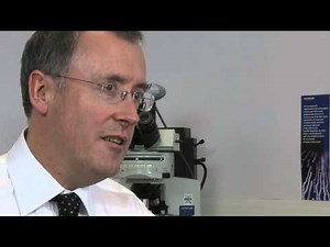 Digital pregnancy tests better than traditional