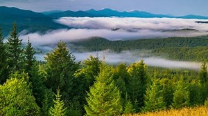 Free Fog Videos: 4K & HD | No Watermark | Download Now