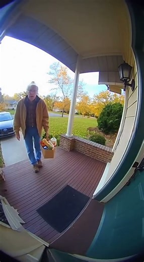 The moment a jaguar chased an old man to his house#animalshorts #wildlife #animalattack #realfootage