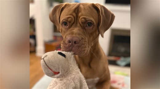 Penny and Cassie’s Story