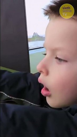 Spotting Seals | Time For School Shorts | CBeebies