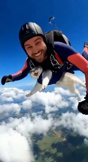 Skydiving Cat: The Most Dramatic Rescue Ever#skydiving