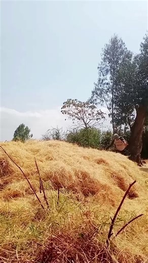 Mastering the Double Back Flip: EBA Tiger Techniques