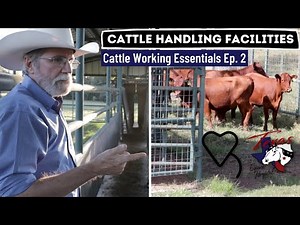 Cattle Working Essentials Ep. 2 - Cattle Handling Facilities | Regenerative Ranching