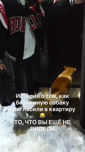Забавная история получилась😂 То, что вы ещё не видели | weird story