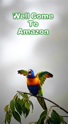 Beautiful Forest Birds in Calm Nature 🌿 Real Wildlife ASMR | No Music #naturesounds #amazonforest