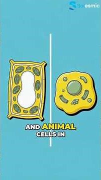 Plant vs. Animal Cells: What’s the Difference? | Middle & High School Science"