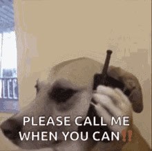 Every Logger Thinking This Right Now If The Mills Are Wide Open‼️ Call Us Now... #GottaGetIt #Letsgo🟢 shop www.tntlogginggear.com | T&T Logging,LLC