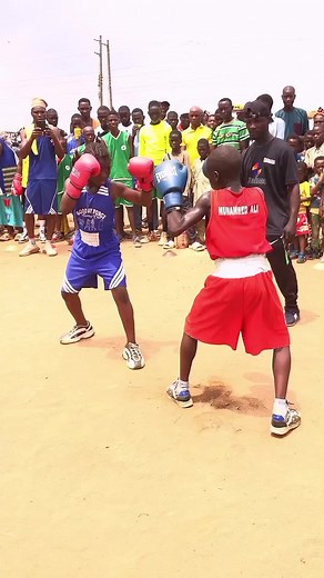 Fêmale vs mãle who is the winner #boxerlife #boxeo #boxerlifestyle #sparringboxing #boxerdog | Boxing USA