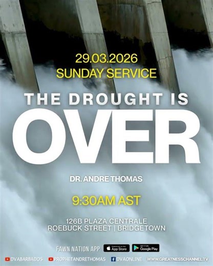 Sunday Flyers