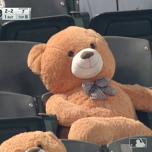 8M views · 10K reactions | Grinning and bearing it. | MLB | Facebook