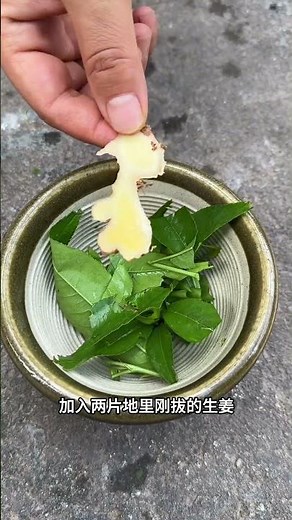 Discover the Magic of Peach Leaves - Plant Science Unveiled