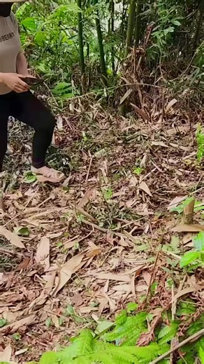 Building a Bushcraft Garden: A Single Mom's Vlog