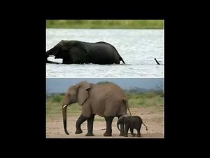 Clever Science Jokes for Nerds, Geeks & Curious Minds 🧠✨