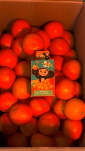 Sweet Box Чебурашка🍊 #конфитрейд #unboxing #распаковка #премьера