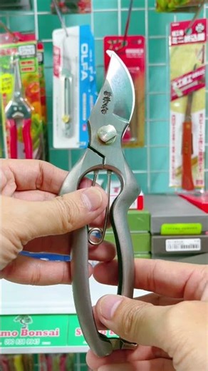 [Episode A890] Soke Steel Scissors, Japan