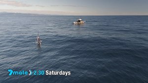 6.8K views · 206 reactions | GIVEAWAY TIME In just over a week and we'll be premiering Season 5 on 7mate! To celebrate we're giving away an epic FANZ Merch Pack for you and a friend. To enter the draw, simply TAG an aussie mate (if you have one) and tell them what time and day of the week the show's on  We'll pick the winner on Wednesday, 19 June. #fishingandadventure #tellanaussie #frothing | Fishing & Adventure | Facebook