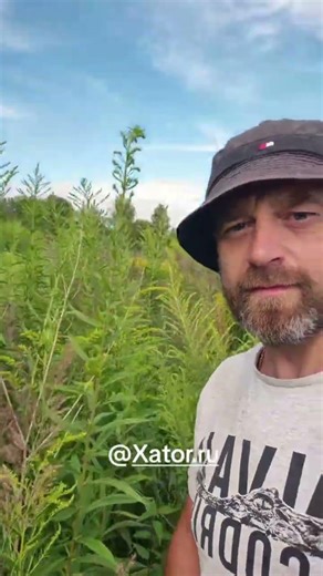 Мульчер для квадроцикла от XATOR -мощное решение для покоса высокой травы расчистки больших. #stels