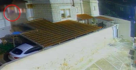 بانيت Panet on Reels