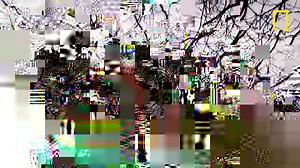 33K views · 287 reactions | La vie du roi Arthur captive les imaginaires depuis des siècles : certains espèrent même son retour, comme figure du sauveur. | National Geographic | Facebook