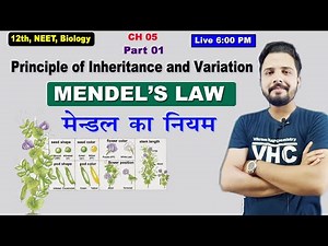 Class 12 Biology NCERT Chapter 5 | मेण्डल का नियम - L1 | Mendel's Law | Yogesh Sir | Doubtnut