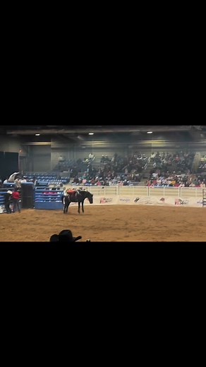 Regular buckaroo😎 | Reagan Dickens