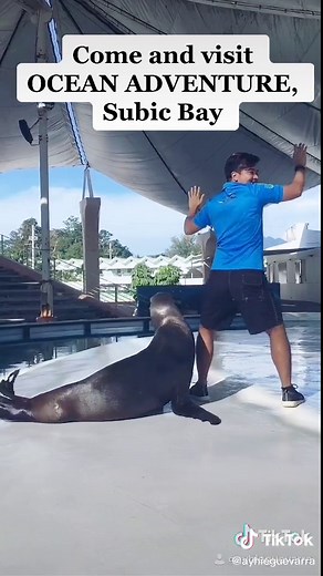 Explore the Wonders of Ocean Adventure Subic Bay