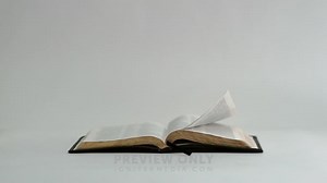 Flipping Pages Of A Bible - Stock Videos