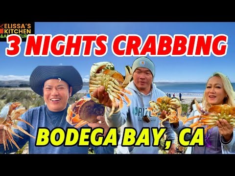 Khmer Crabbing, 3 nights group Camping បោះតង់ចាប់ក្តាមសមុទ្រធំៗស្រស់ៗ Bodega Bay, CALIFORNIA - USA
