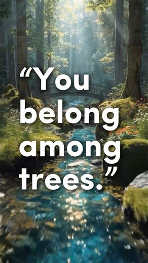 You Belong Among Trees 🌲 Celtic Forest Ambience #shorts