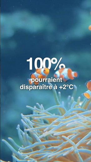 Soutenez l'expédition Tara Coral 🪸