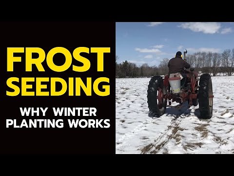FROST SEEDING: Why Winter Planting Works