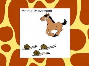 Animal Movement