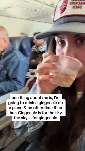 Ginger Ale on a Plane - A Sky-High Drink Experience