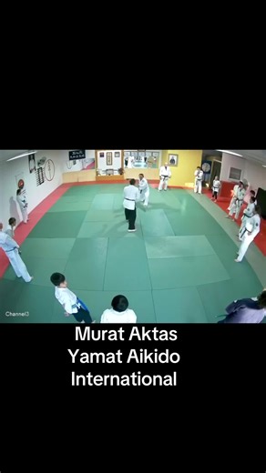 Yamato Aikido international (@yamatoaikido)’s videos with Not Afraid - Eminem