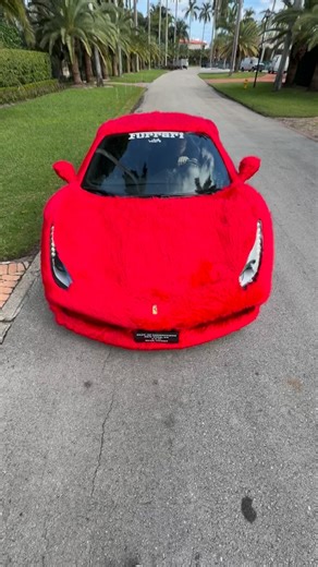 Vlad Shurigin | Zuumy on Instagram: "Elmo Ferrari or?"