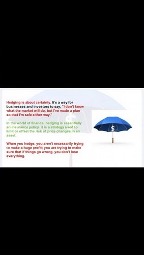 What is Hedging? Financial Strategy Explained in one Minute #education #profitmaximization