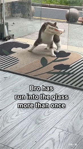 Bro is traumatized. 🥲 He had learned it the hard way | Animals World , Nature & Quotes