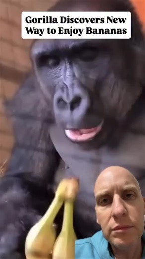 1980sGamer on Instagram: "New Way To Eat Banana"